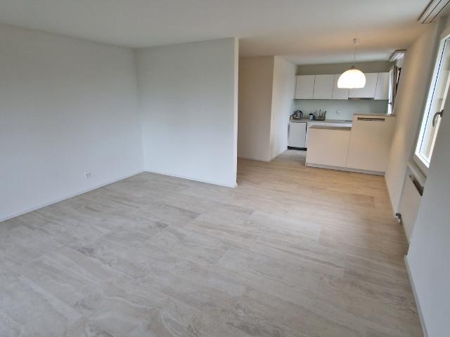 Apartment mieten in Holzhäusern (ZG), Zug