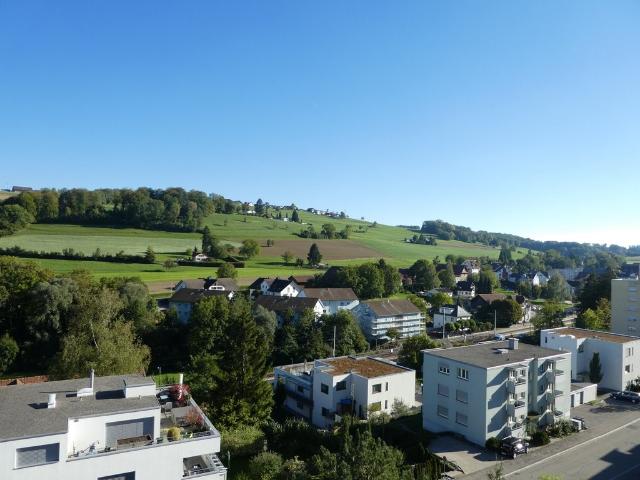 Apartment mieten in Rudolfstetten, Rudolfstetten-Friedlisberg