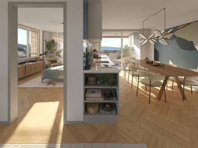 Apartment mieten in Schlieren, Bezirk Dietikon