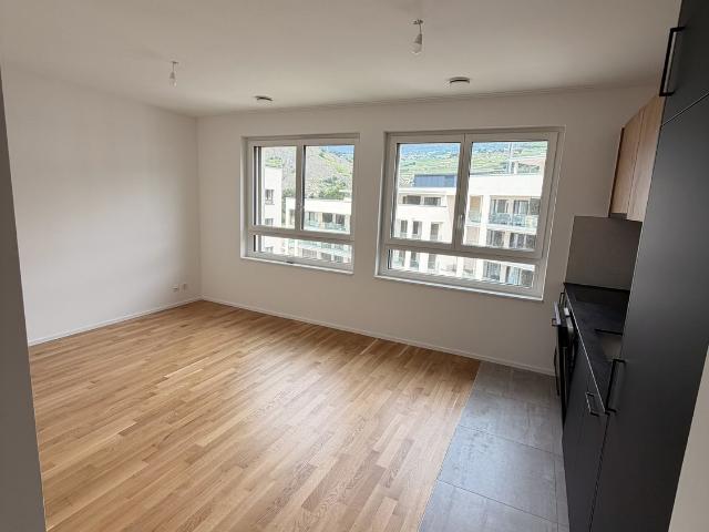 Apartment mieten in Les Mayens-de-Sion, Wallis