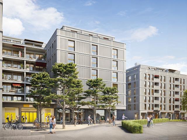 Apartment mieten in Solothurn