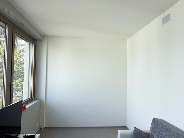 Apartment mieten in Steinhausen, Zug