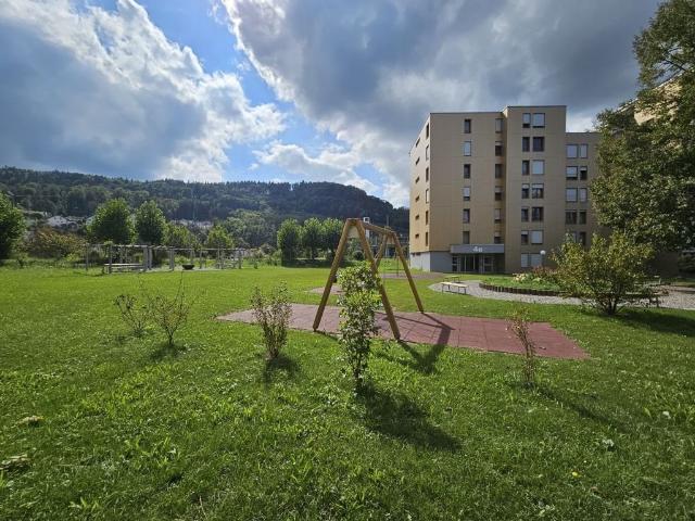 Apartment mieten in Baden, Aargau