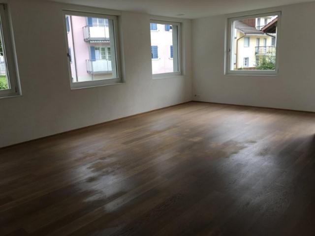 Apartment mieten in Uster, Zürich