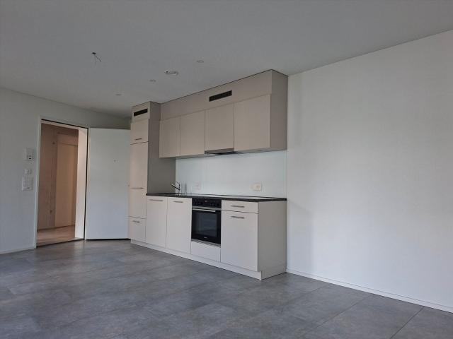 Apartment mieten in Villmergen, Aargau