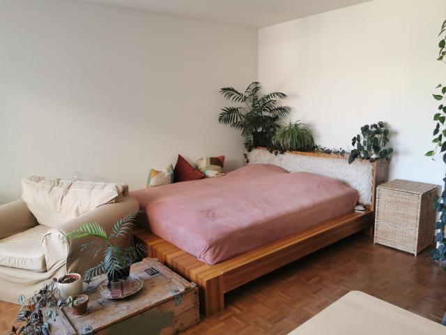 Apartment mieten in Sihlfeld, Zürich