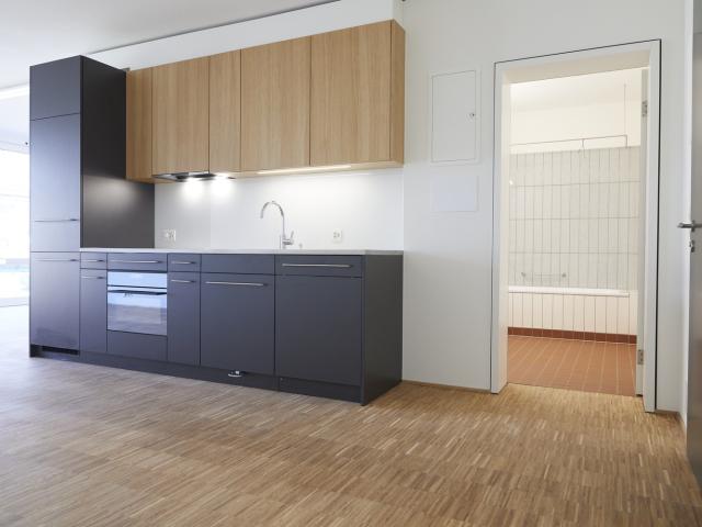Apartment mieten in Langstrasse, Zürich