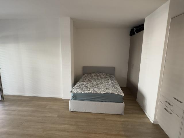 Apartment mieten in Einigen, Zürich