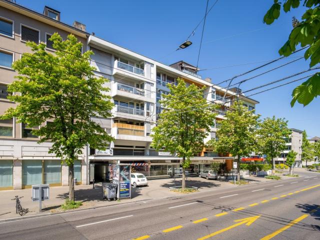 Apartment mieten in Einigen, Zürich