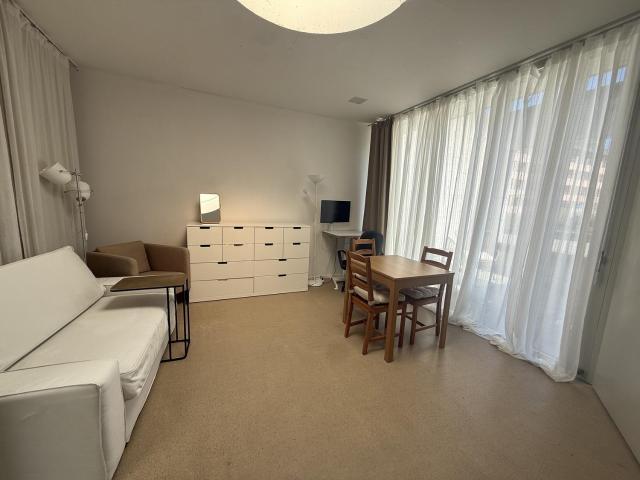 Apartment mieten in Hirzenbach, Zürich
