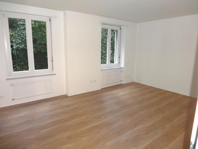 Apartment mieten in Einigen, Zürich