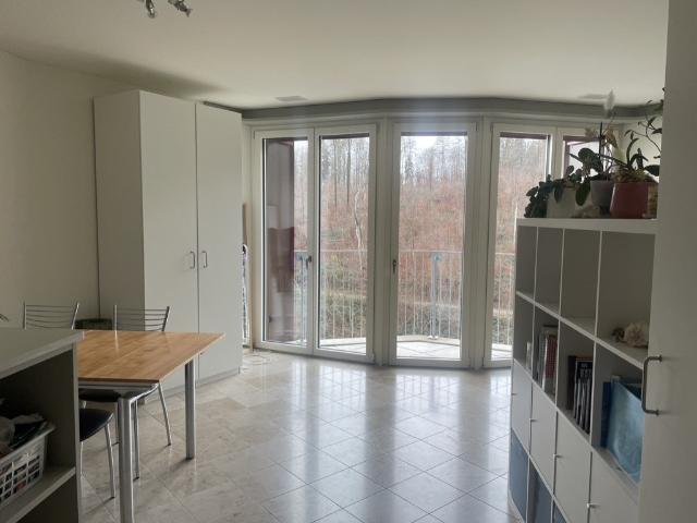 Apartment mieten in Einigen, Zürich
