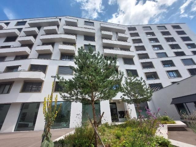 Apartment mieten in Einigen, Zürich
