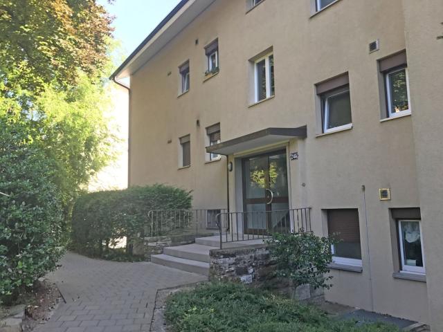 Apartment mieten in Einigen, Zürich