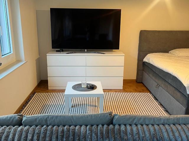 Apartment mieten in Sihlfeld, Zürich