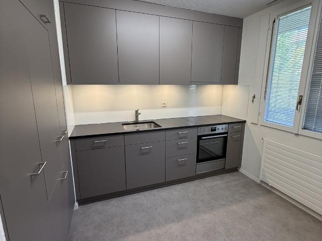 Apartment mieten in Einigen, Zürich