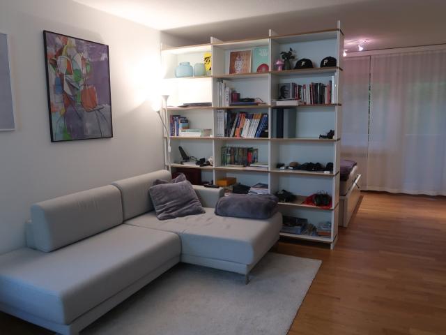 Apartment mieten in Einigen, Zürich