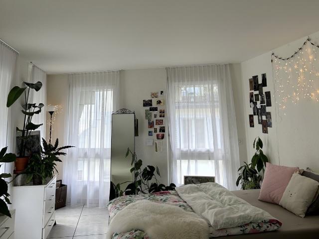 Apartment mieten in Einigen, Zürich