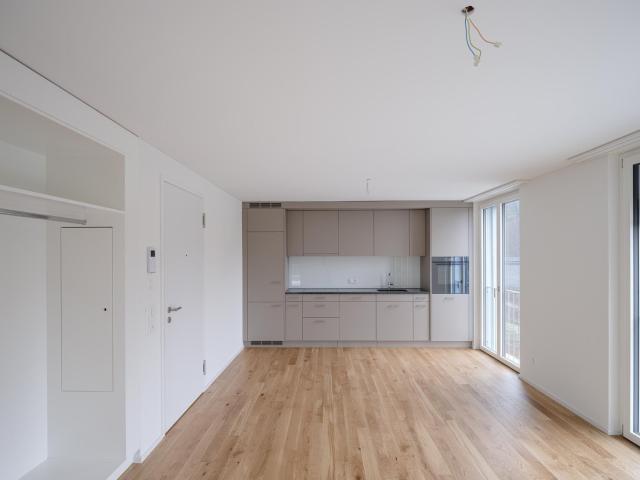Apartment mieten in Leimbach, Zürich