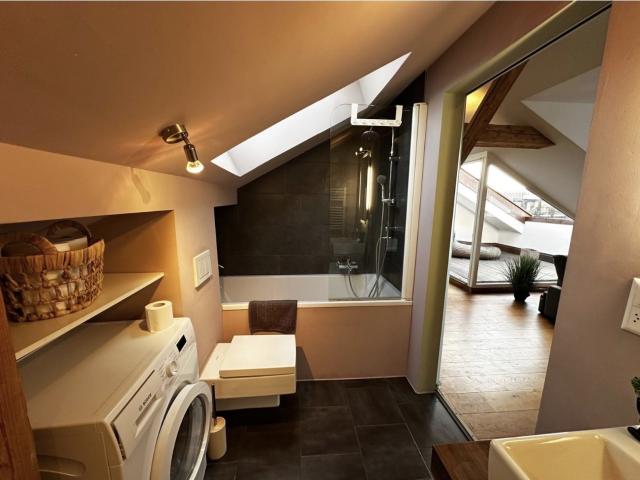 Apartment mieten in Einigen, Zürich