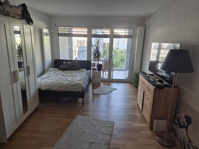 Apartment mieten in Einigen, Zürich