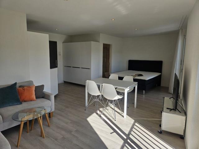 Apartment mieten in Einigen, Zürich