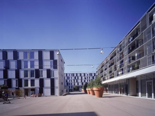 Apartment mieten in Einigen, Zürich