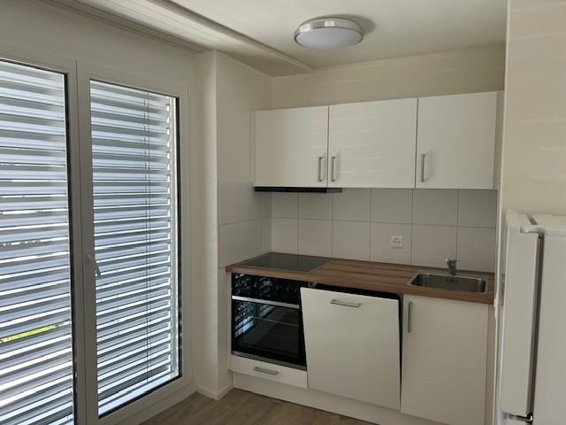 Apartment mieten in Einigen, Zürich
