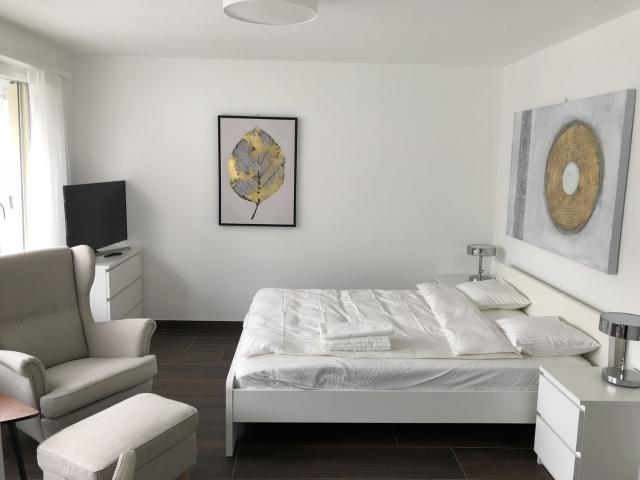 Apartment mieten in Einigen, Zürich