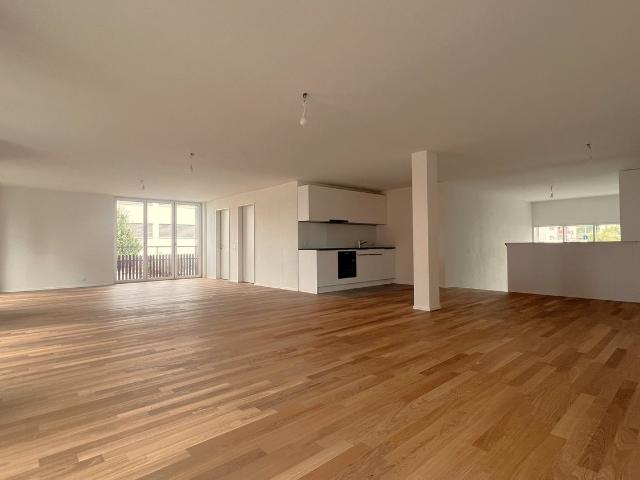 Apartment mieten in Reiden, Lü
