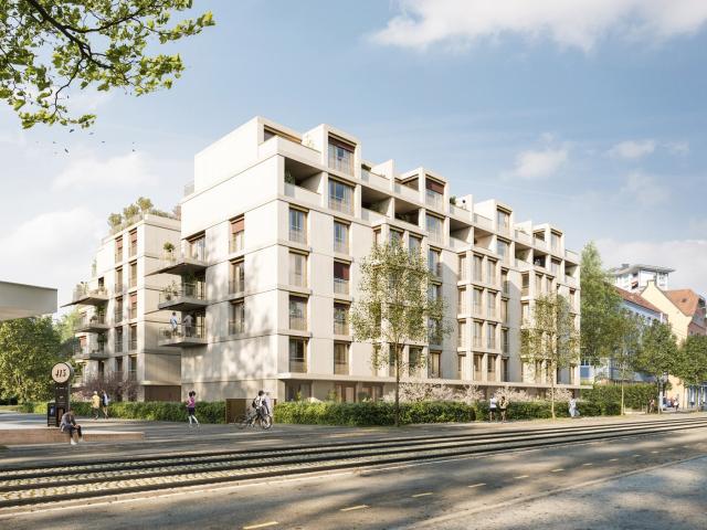Apartment mieten in Hard, Zürich
