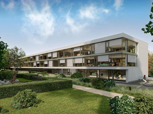 Studio mieten in Baden, Aargau