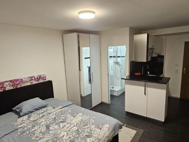 Studio mieten in Basel, Basel-Stadt