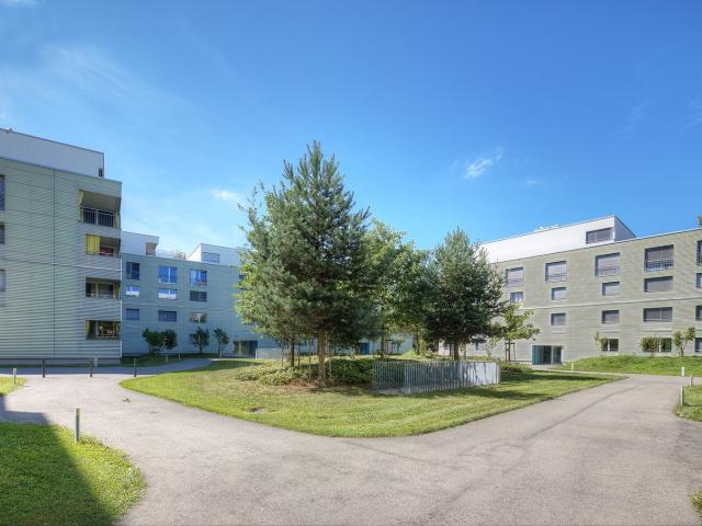 Apartment mieten in Aarau, Aargau