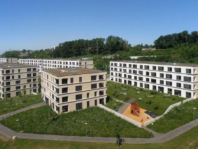 Apartment mieten in Adliswil, Zürich