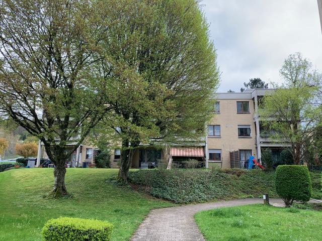 Apartment mieten in Affoltern am Albis, Zürich