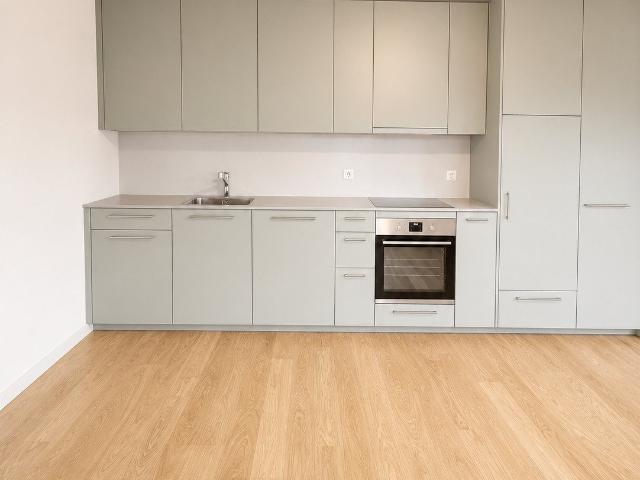 Apartment mieten in Allschwil, Bezirk Arlesheim