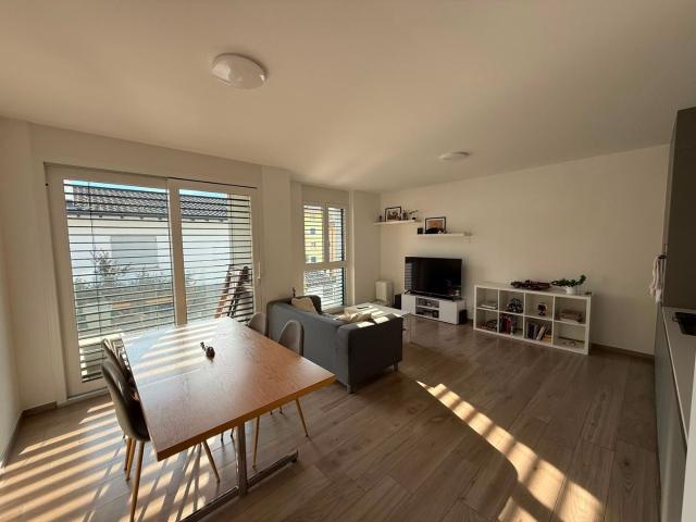 Apartment mieten in Arbedo-Castione, Tessin