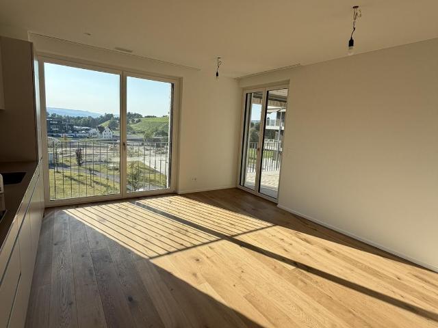 Apartment mieten in Wädenswil, Zürich