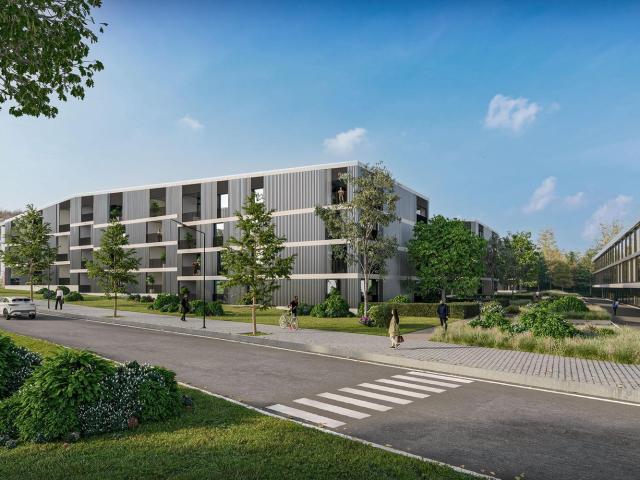 Apartment mieten in Baden, Aargau
