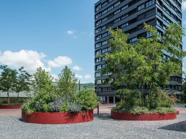 Apartment mieten in Baden, Aargau