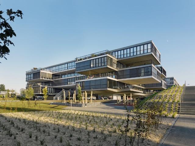 Apartment mieten in Bern