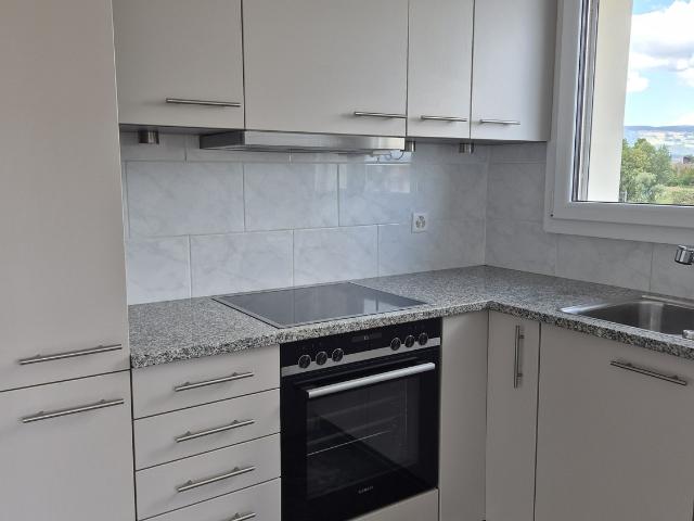 Apartment mieten in Biberist, Solothurn