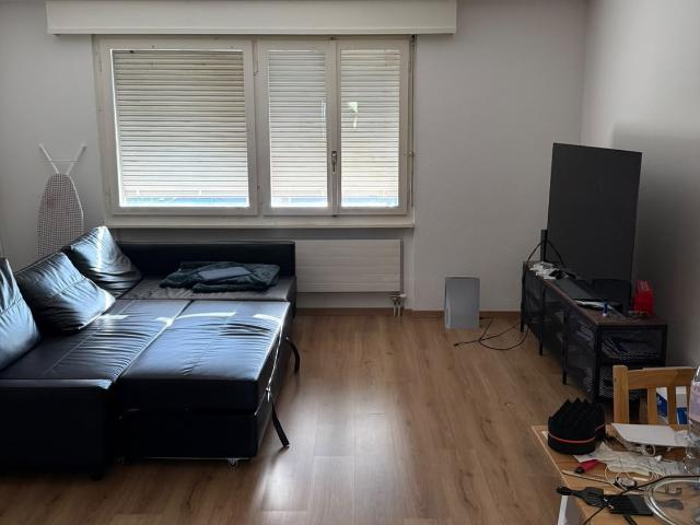 Apartment mieten in Biel, Bern