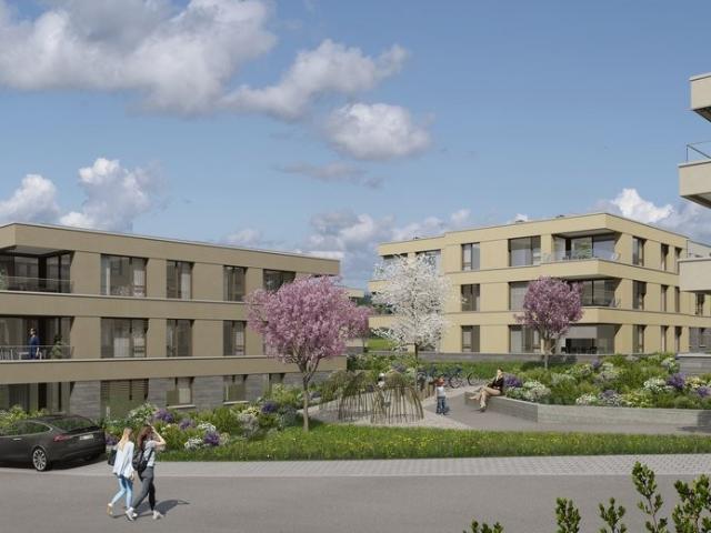 Apartment mieten in Birmensdorf (ZH), Zürich