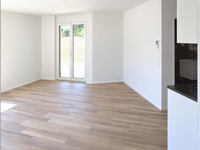 Apartment mieten in Birr, Aargau