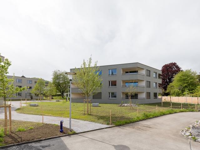 Apartment mieten in Boniswil, Aargau