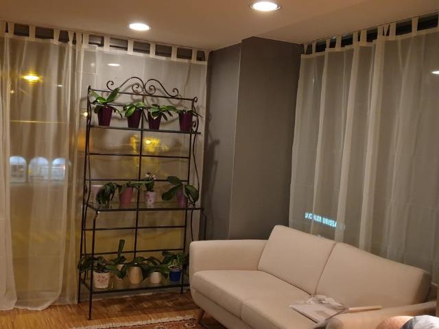 Apartment mieten in Brissago, Tessin