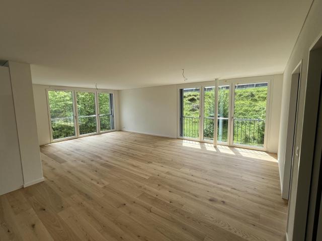 Apartment mieten in Umiken, Brugg