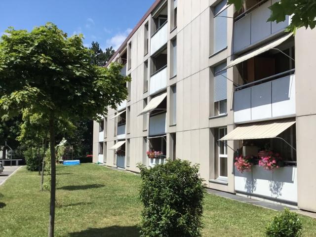 Apartment mieten in Buchs (AG), Aargau
